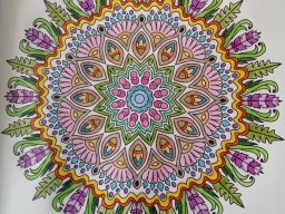 whatsapp bild 2023-08-14 um 12.41.42